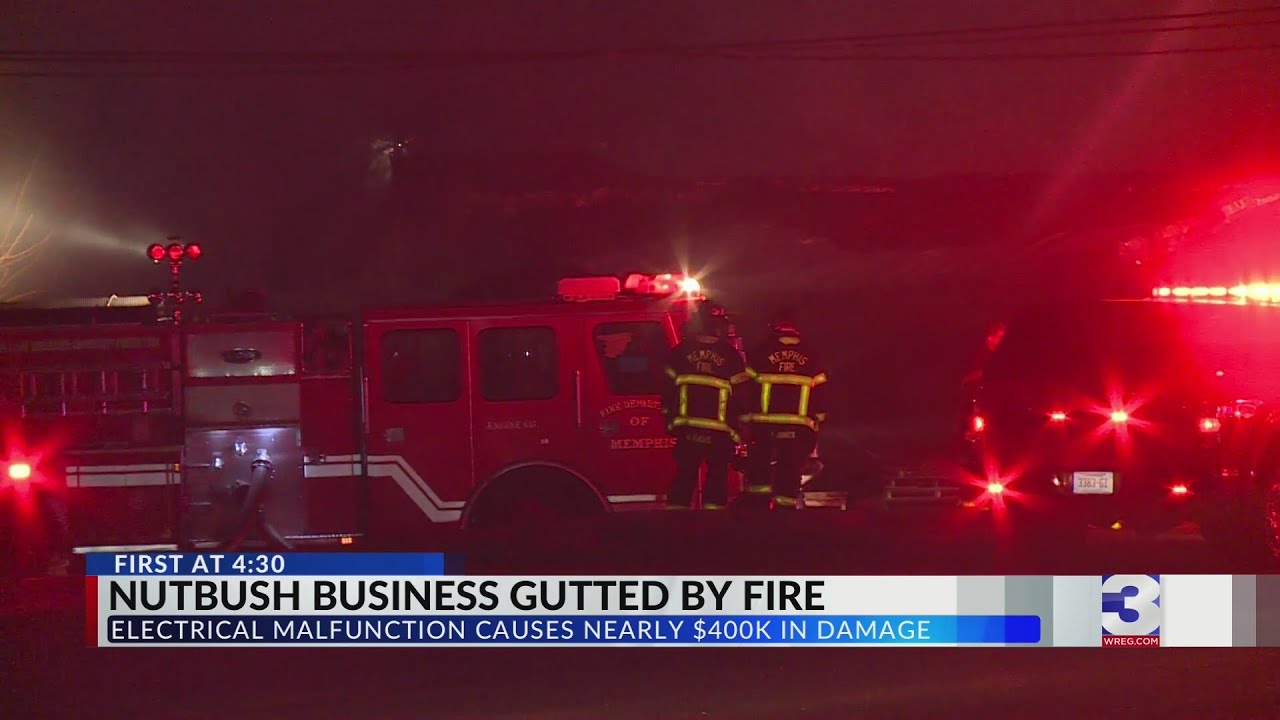 Nutbush business gutted by fire
