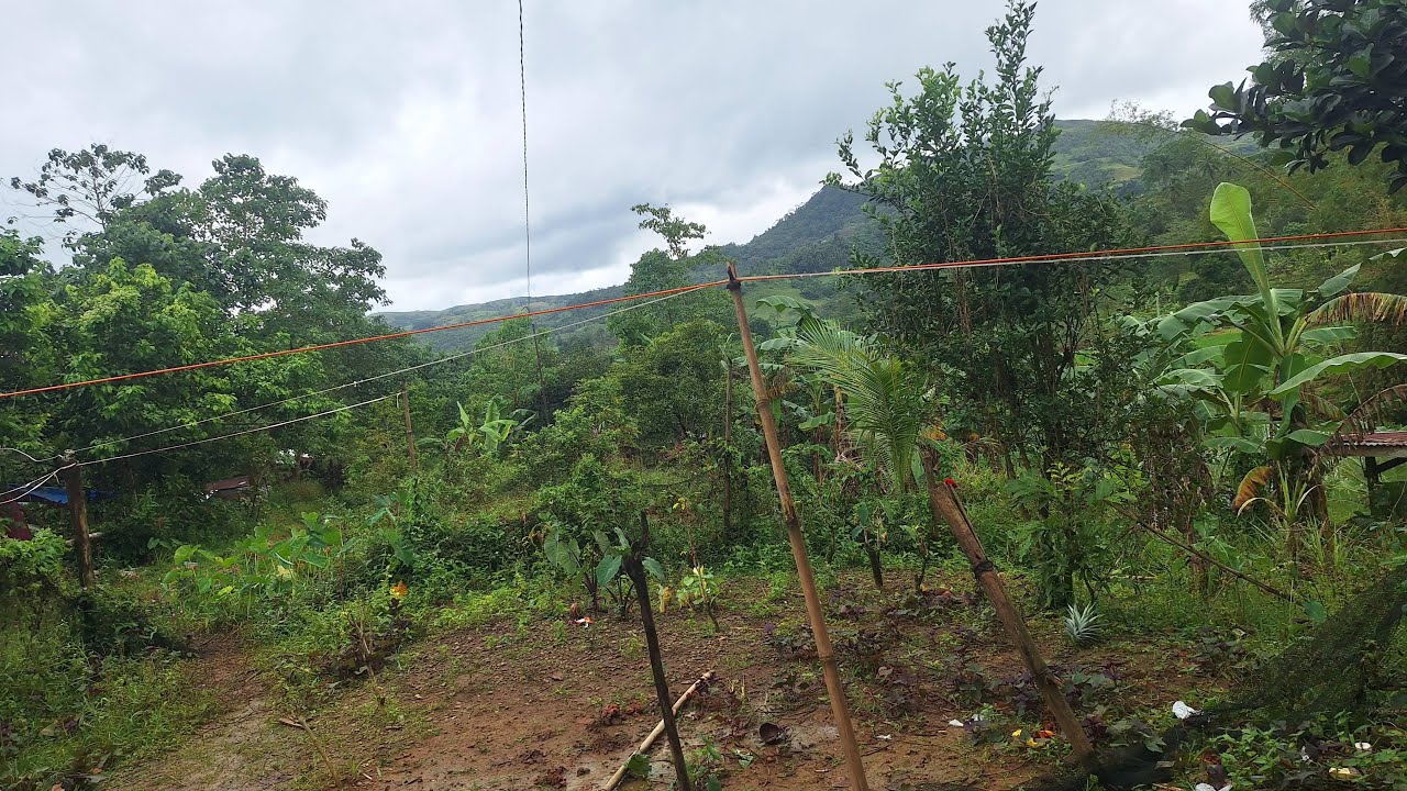 LIVE SA BUNDOK