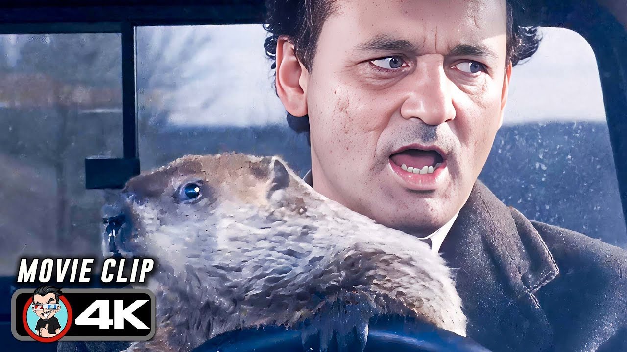 Phil Drives Off The Edge Scene | GROUNDHOG DAY (1993) Movie CLIP 4K
