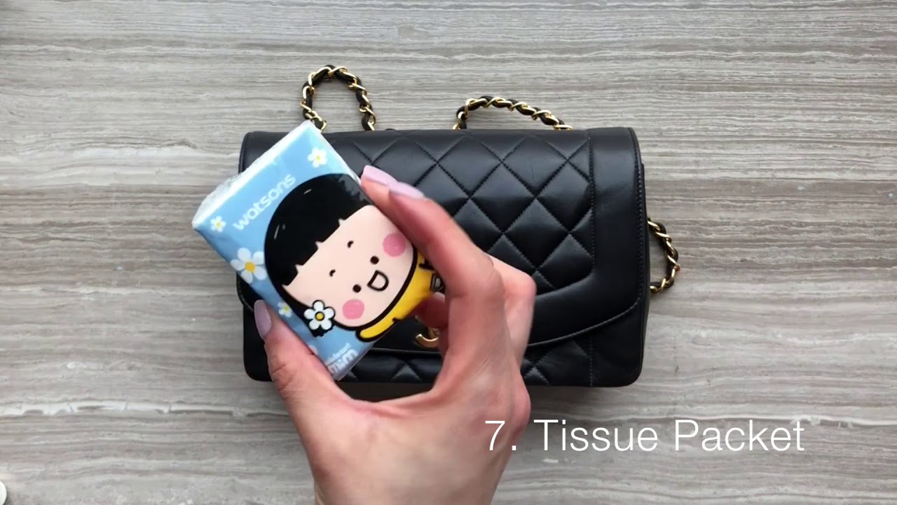 MGFT What fits in a medium vintage Chanel Diana?