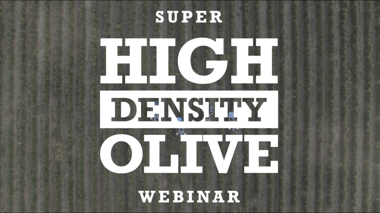 Super High Density Olives for California | Webinar