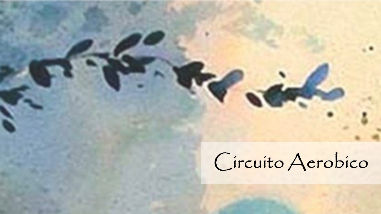 Circuito aerobico nella pratica di Viet Tai Chi - Aerobic circuit in the practice of Viet Tai Chi