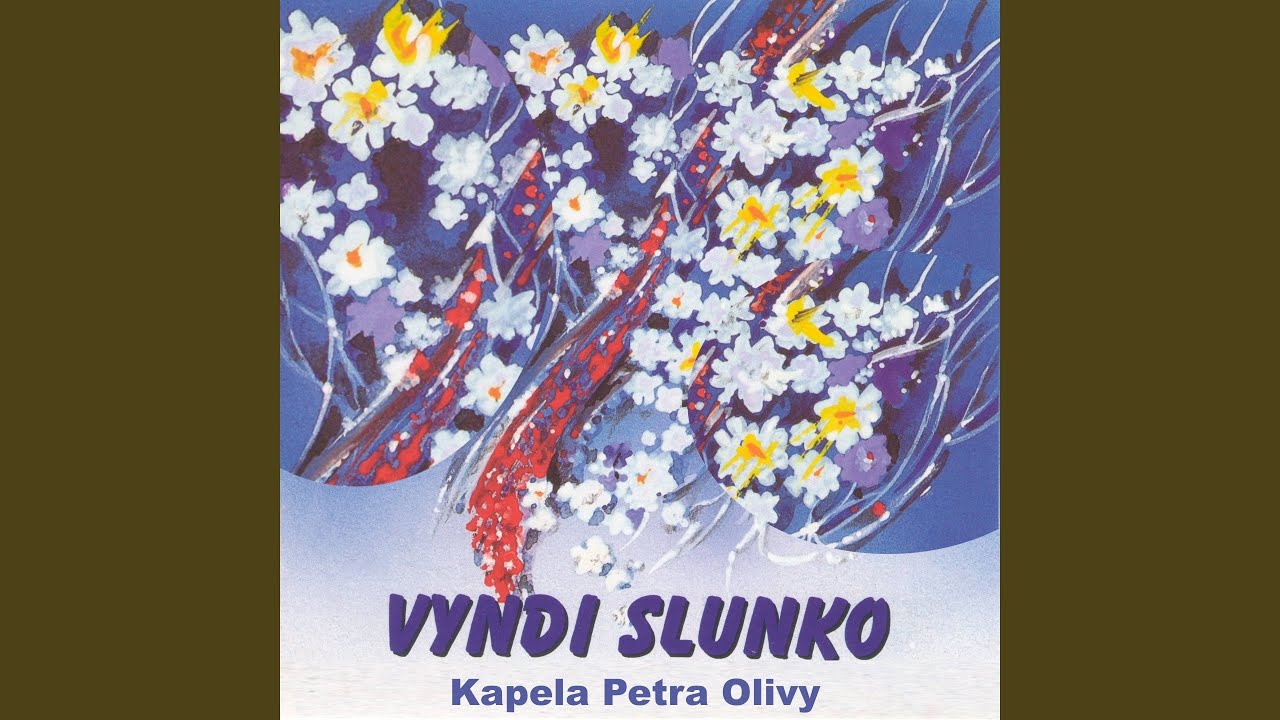 Vyndi Slunko - Nedaleko Moravy