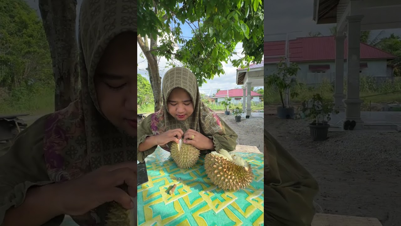 Makan durian lokal@Yuliahomegarden #gardening 
