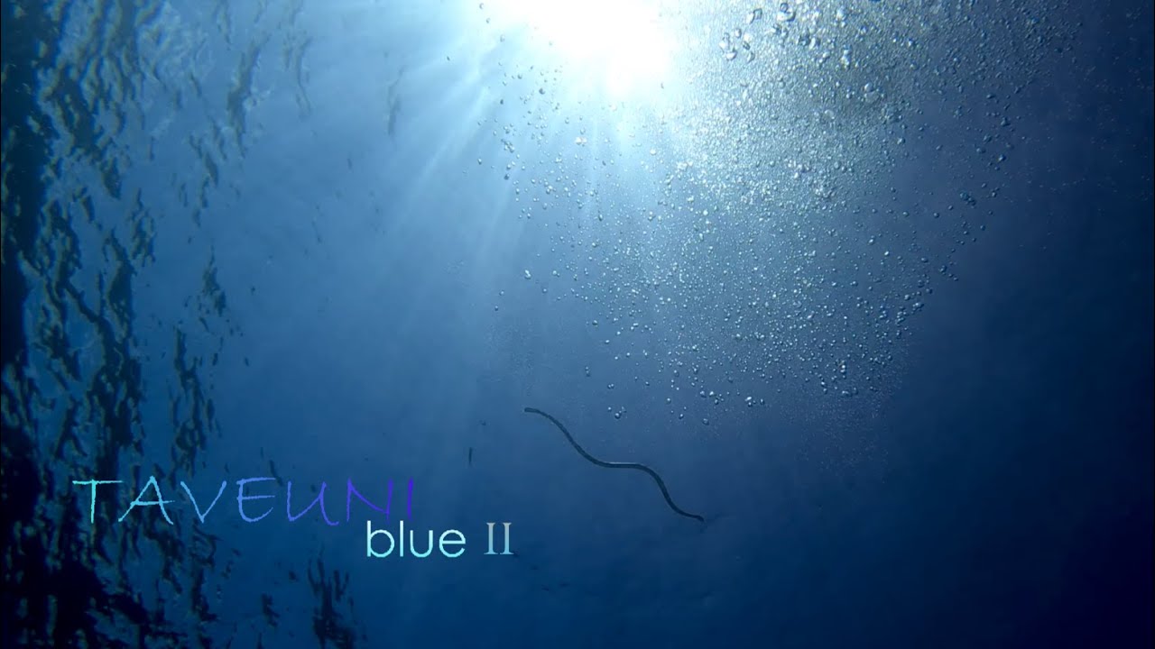 TAVEUNI blue II  -Diving the Rainbow Reef in Fiji with the Amazing Team at Taveuni Dive Resort!