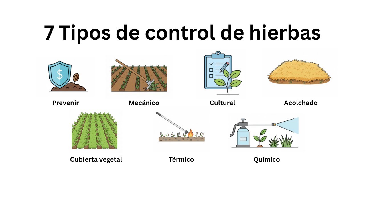 Los 7 TIPOS DE CONTROL DE MALAS HIERBAS más usados en 4 MINUTOS