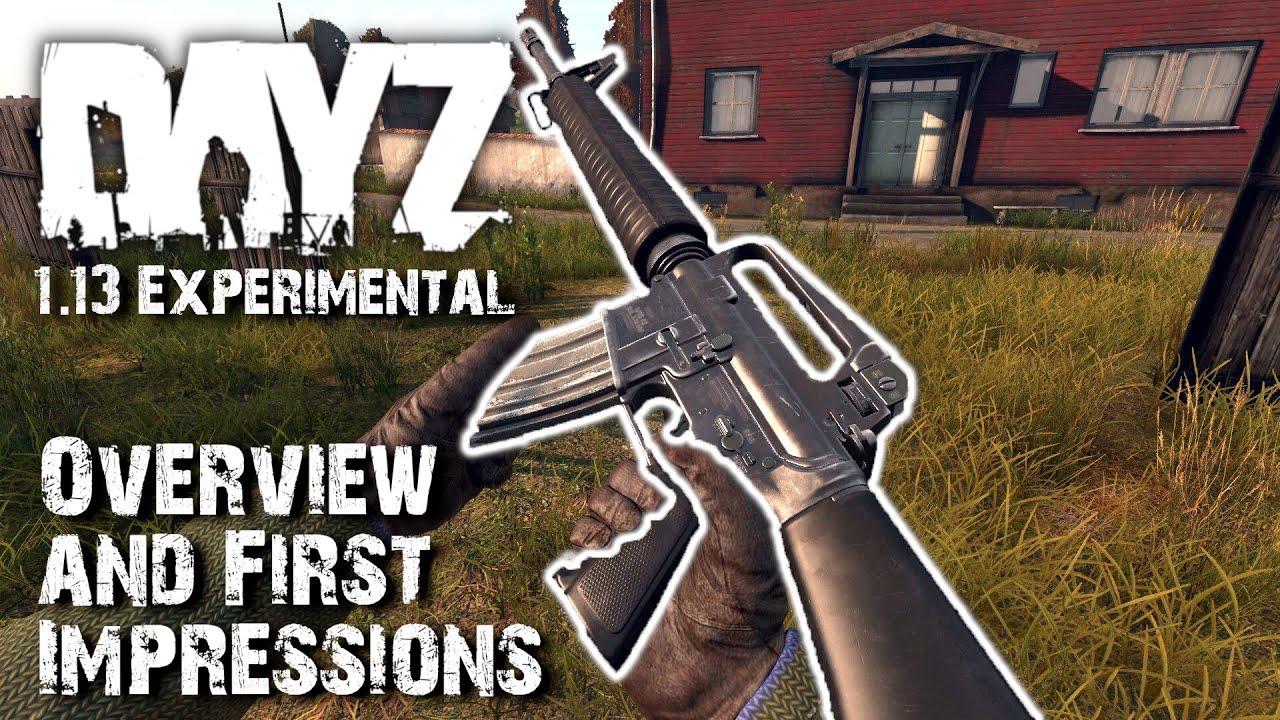 DayZ 1.13 First Impressions! New Rifle, Heavy Zombies, Infection Update, and more!
