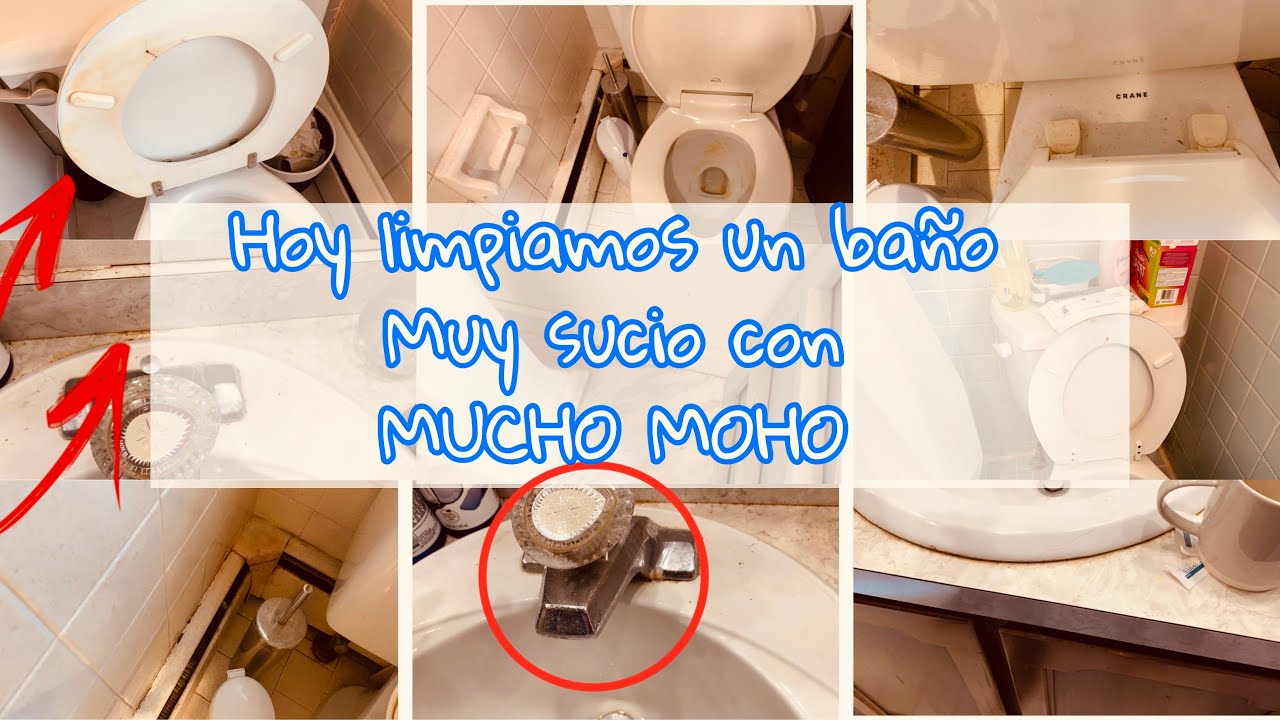 como LIMPIAR EL MOHO de el BAÑO Y LO AMARILLO DE LA TAPA DEL Toilet 🚽 - COMO LIMPIAR FACIL EL BAÑO