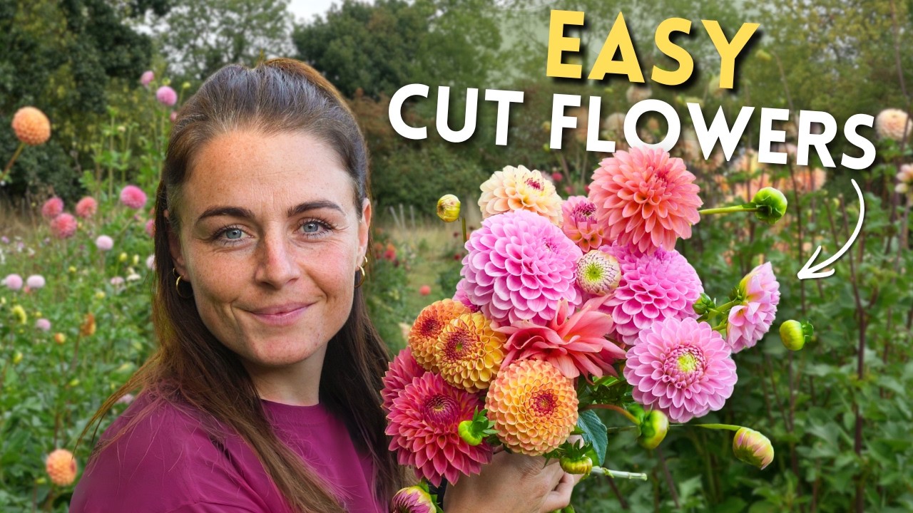 The Best Cut Flowers for Beginners (My Top 10)