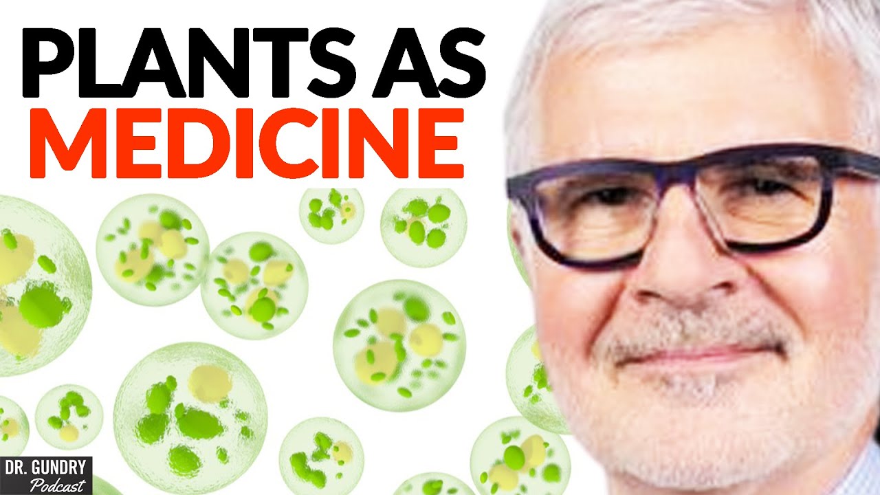 Как использовать микроводоросли для поддержания энергии, концентрации и здоровья кожи! | Доктор С...