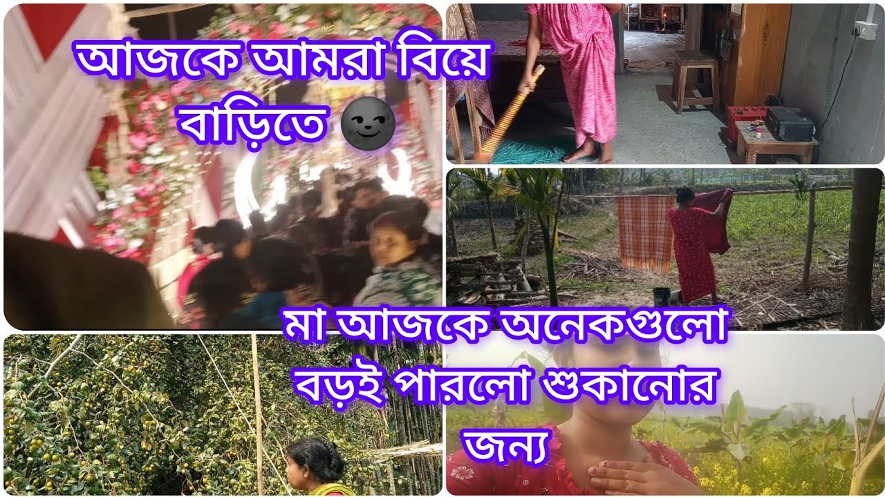 সবাই মিলে গেলাম বিয়ে বাড়িতে। মা আজকে অনেক গুলো বড়ই পারলো শুকানোর জন্য। 🙂#mousumilifestyle #dailyvlog