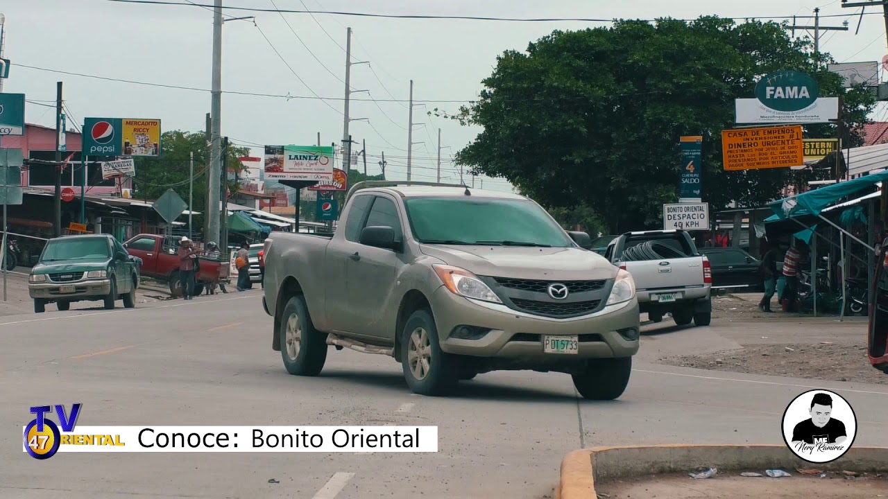 BONITO ORIENTAL
