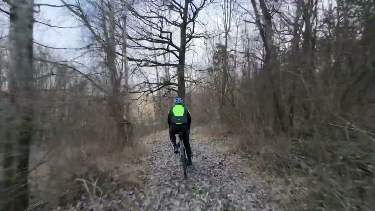 DJI NEO 2 TEST Felder und im Wald