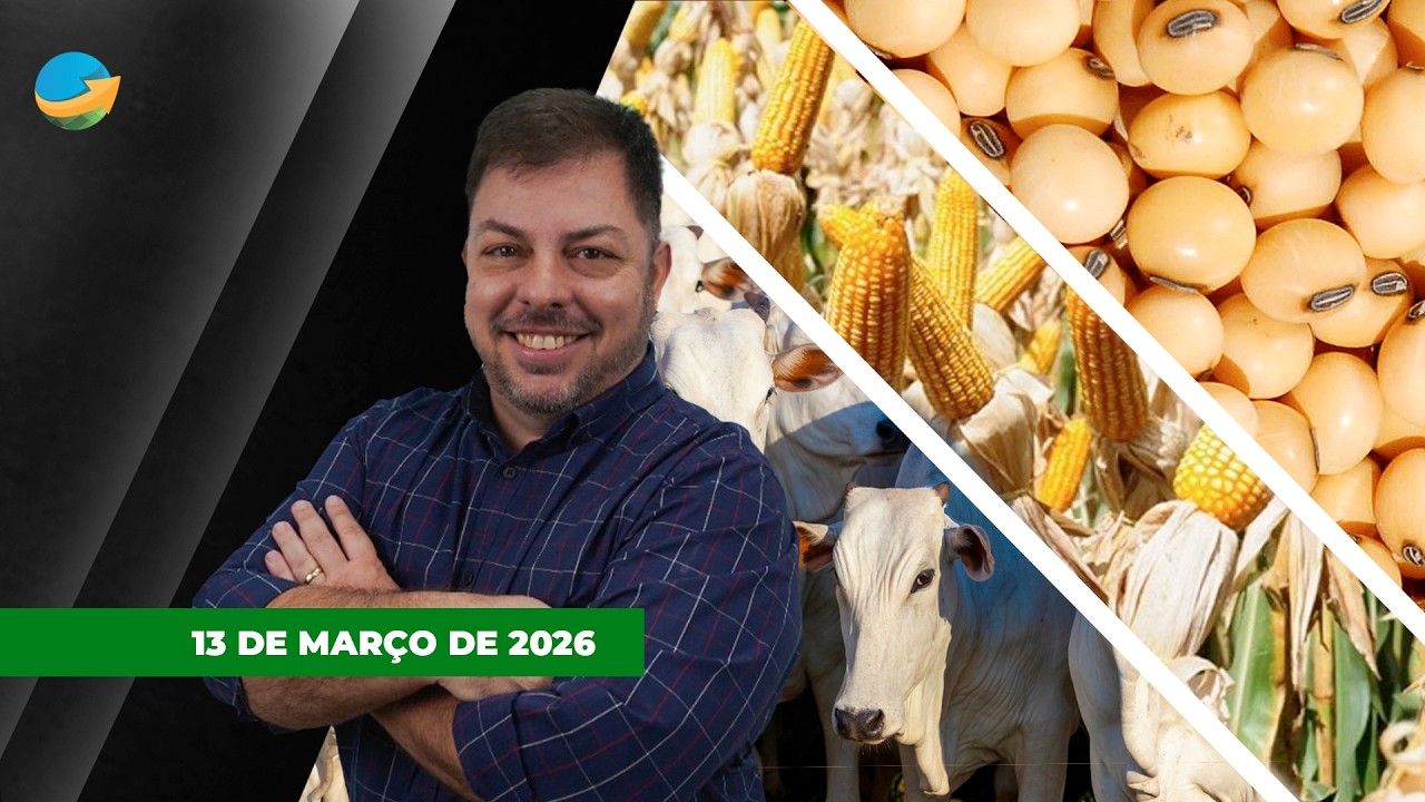 FECHAMENTO DE MERCADO - EDIÇÃO 13/03/2026