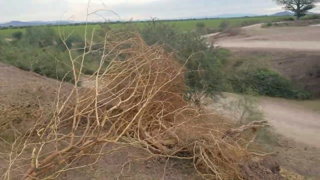 Agua debajo del agua 2