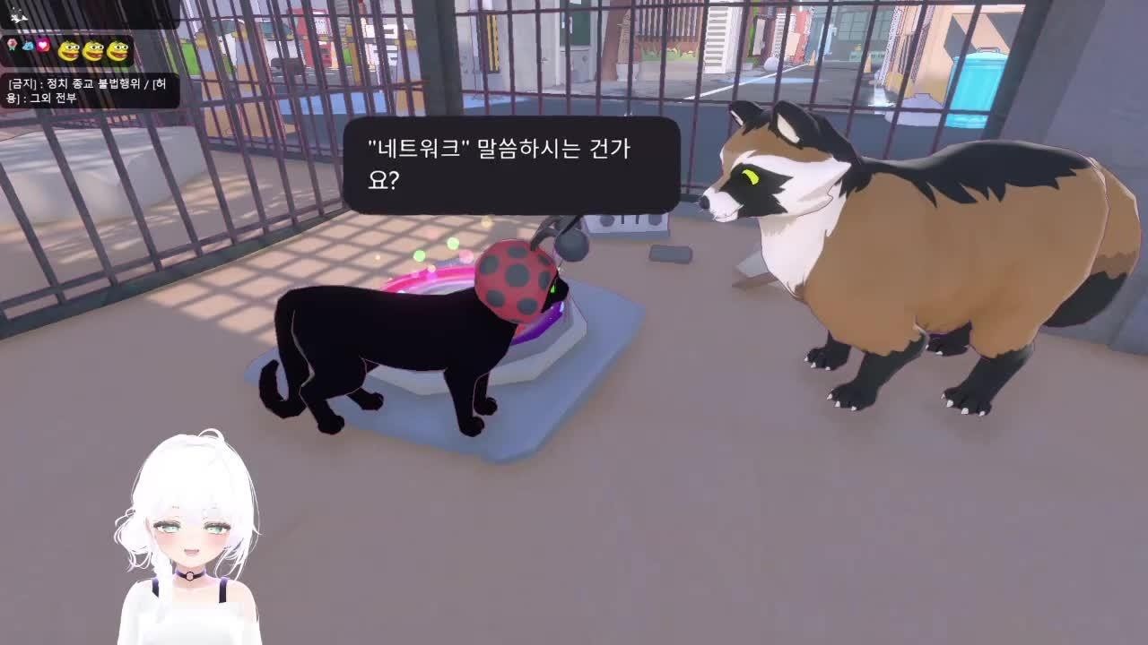 20260222 오늘이 일본에선 고양이의 날이다냥 Little Kitty  Big City