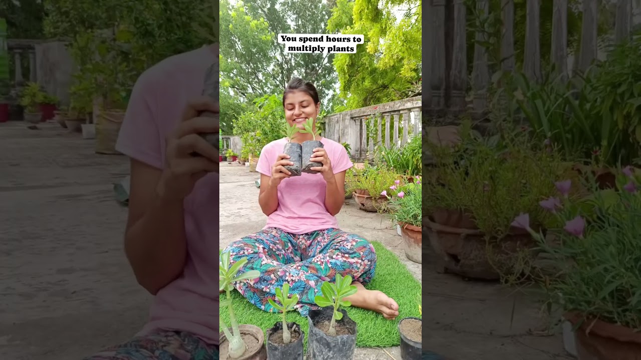 My Garden has become a nursery now😂 #gardening #shorts #youtubeshorts #plantscorner