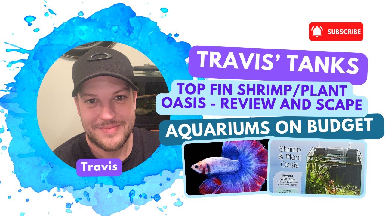 Review and Setup of Top Fin Shrimp and Plant Oasis - Followed By Scape