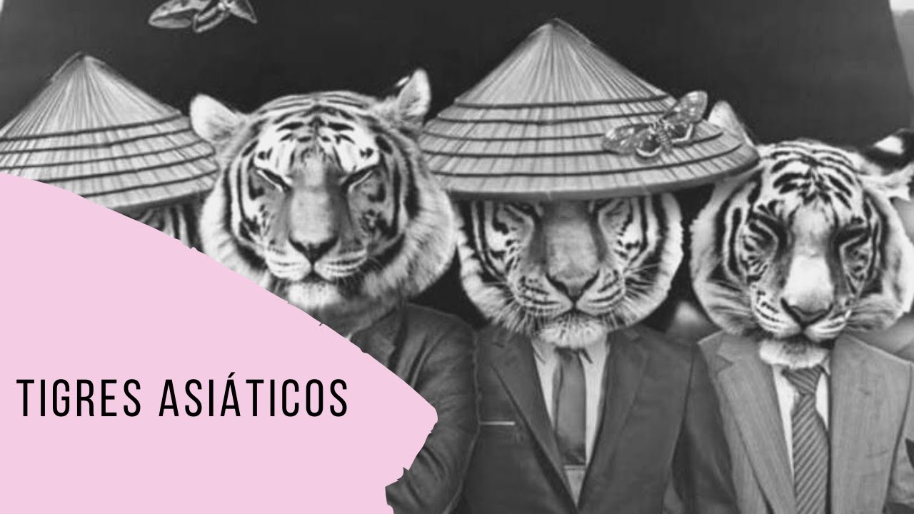 Tigres Asiáticos - Geografia - 9º ano