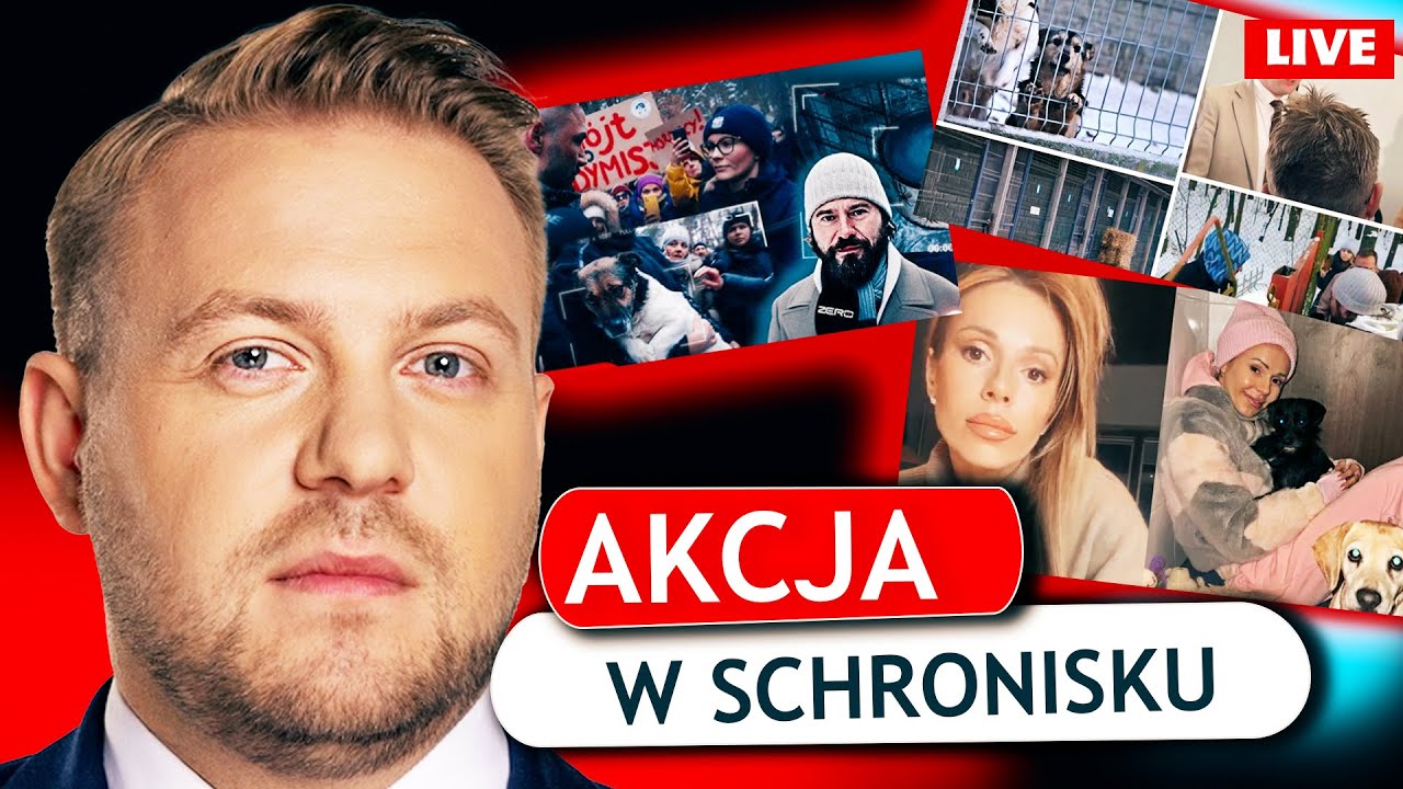 AKCJA W SCHRONISKU | DODA I STANOWSKI