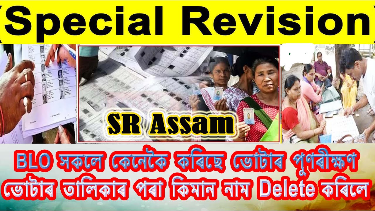 Special Revision Assam | BLO সকলে  কেনেকৈ কৰি আছে ভোটাৰ পুনৰীক্ষণ ? কি কি তথ্য দিব লাগে ?