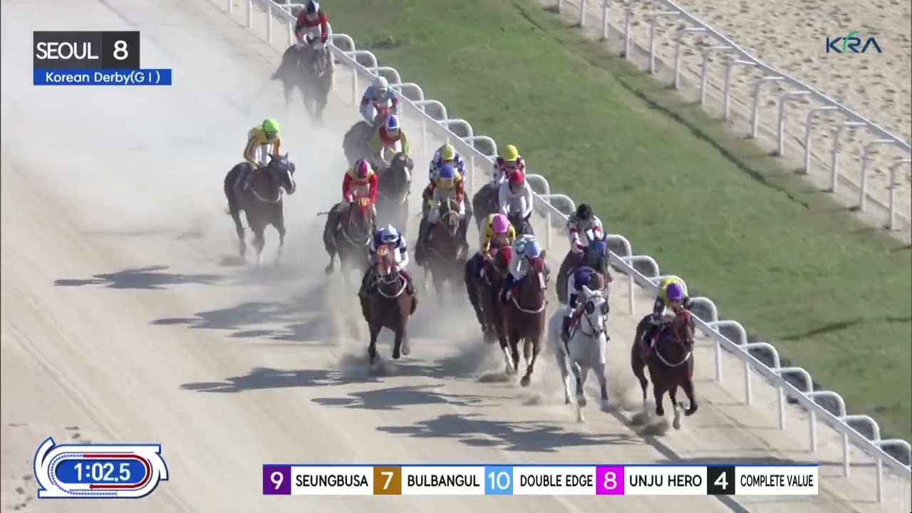 (Seoul) 2022.05.15 R8 KOREAN DERBY (1800M KOR-G1) 2022