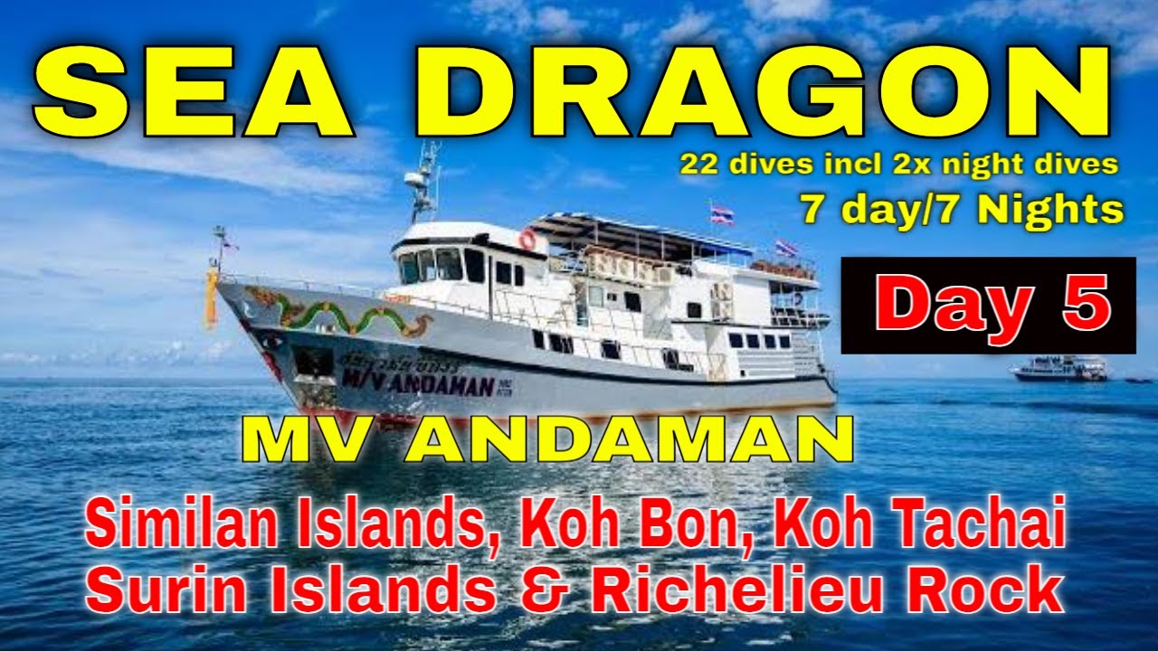 Day 5: Richelieu Rock & Sunset Dive - Sea Dragon- MV Andaman Liveaboard - Andaman Sea - Scuba Diving
