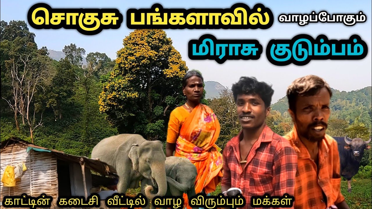 இப்படியும் வாழமுடியுமா??? ஆபத்தான காட்டின் கடைசியில் வீடு கட்டி வாழ விரும்பும் ஒரு குடும்பம்!!!