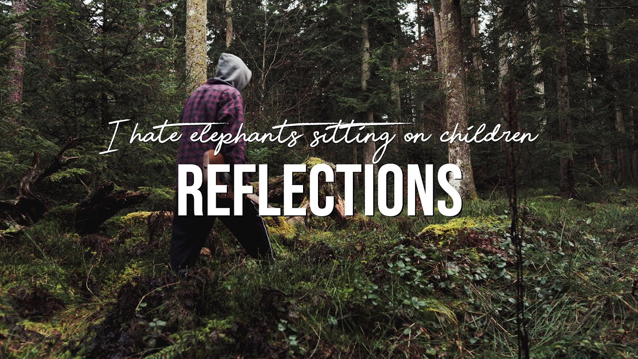 I Hate Elephants Sitting on Children - Reflections (Official Lyric Video)