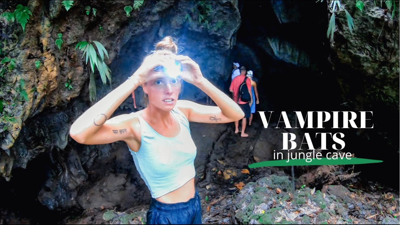 VAMPIRE BATS in the depth of the PANAMA jungle | Ep 75 | Sailing Merewether