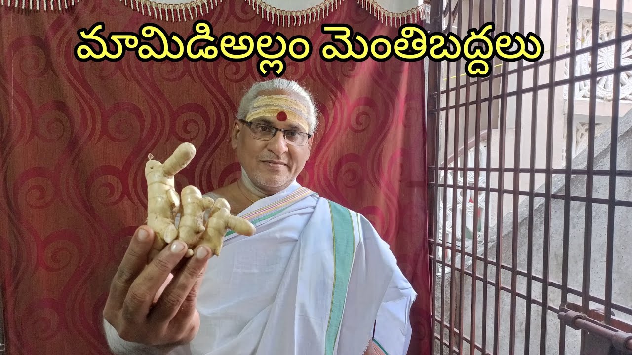 #మామిడిఅల్లంమెంతిబద్దలు#MamidiAllamMenthiBadhdhalu # மாங்காய் இஞ்ஜிவெந்தியம்சுவை#MangoGingerRecipe.