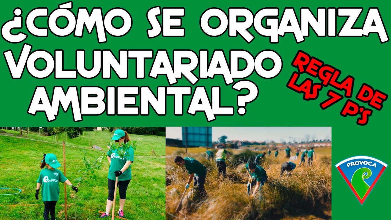 ¿Cómo se organiza una actividad de voluntariado ambiental? La regla de las 7 P's de PROVOCA