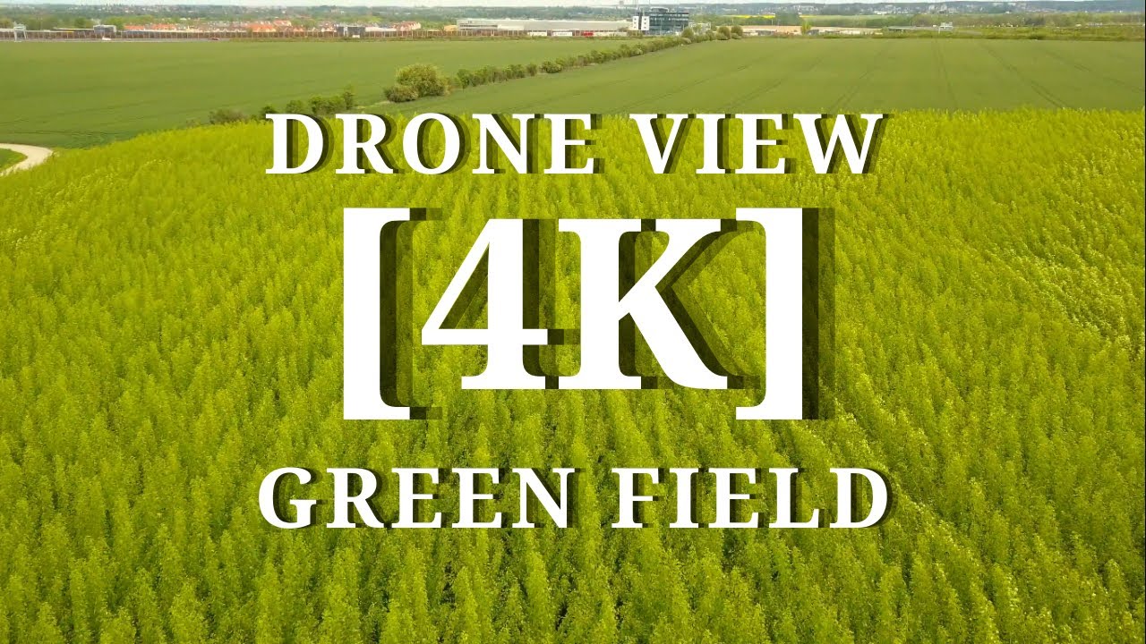 [4K] Green Field | Drone View