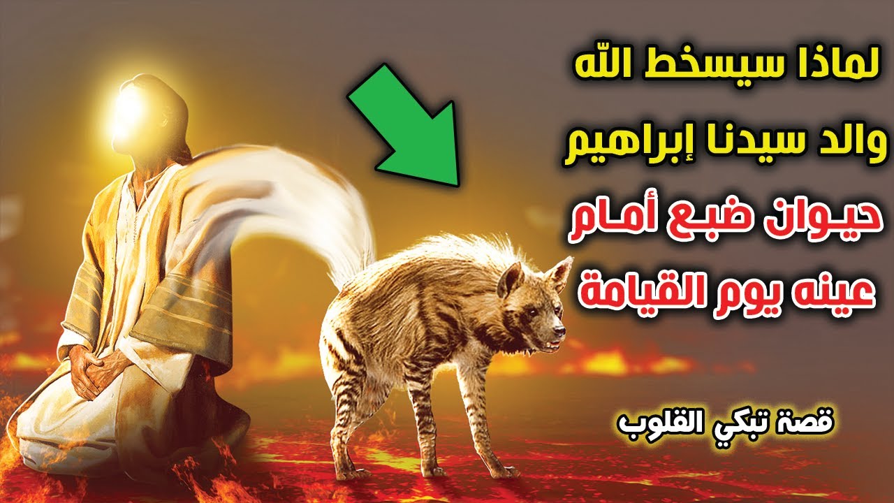 لماذا سيسخط الله والد سيدنا إبراهيم حيوان الضبع أمام عينه يوم القيامة ...؟ قصة تبكى القلوب...!