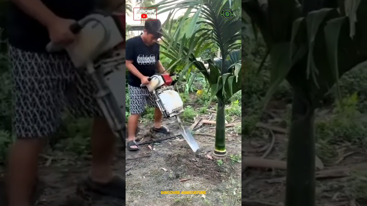 Tree Transplanting Machine