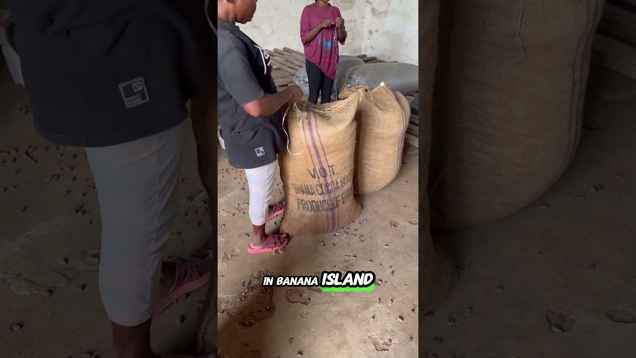 Chocolate is sweet, but supplying the global market with Cocoa beans is even sweeter