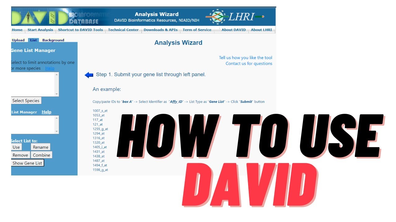 David for GO Enrichment Analysis | SALMAN AKBAR