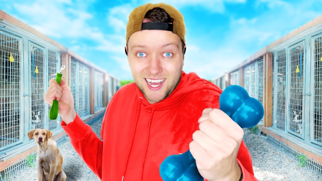 Ik bezocht een verlaten DIERENASIEL  🐶 & 🐱