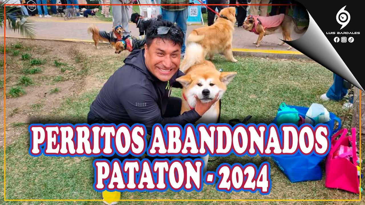 POR LOS PERRITOS ABANDONADOS | PATATON