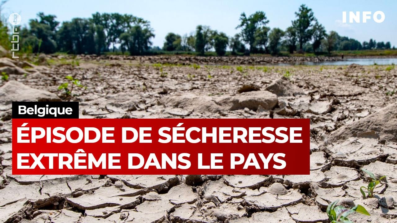 Belgique : épisode de sécheresse extrême dans le pays - JT RTBF
