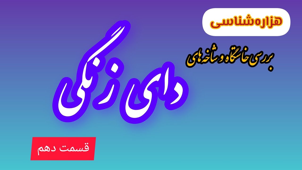 بررسی شاخه‌ها و زیرمجموعهٔ #دای‌‌زنگی / هزاره‌شناسی/ قسمت دهم #محمدحسین_فیاض #mohammadhossain_fayyaz