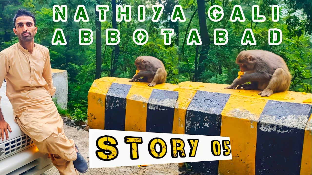 Exploring Nathiya Gali to Balakot | Travel Vlog Pakistan Story 05 
