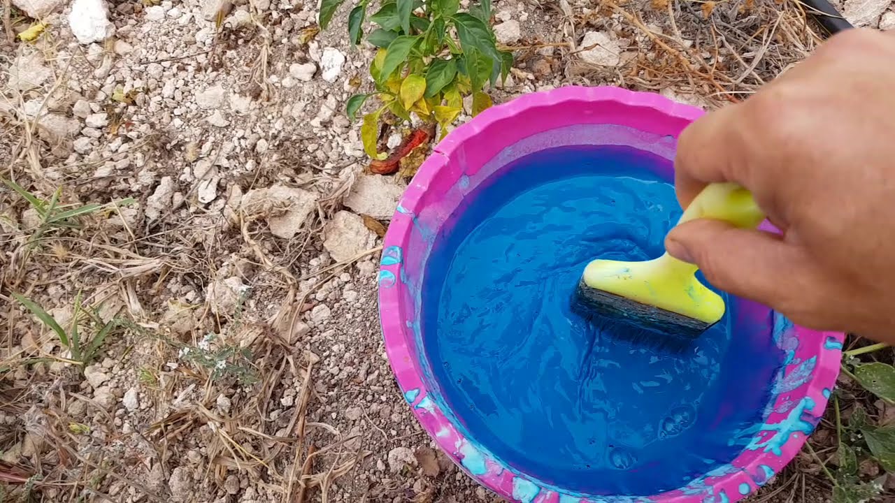 15- Ceviz Bahcesinde Sonbahar Bakimi chandler, fernor,petro,ronde ve yerli cevizler
