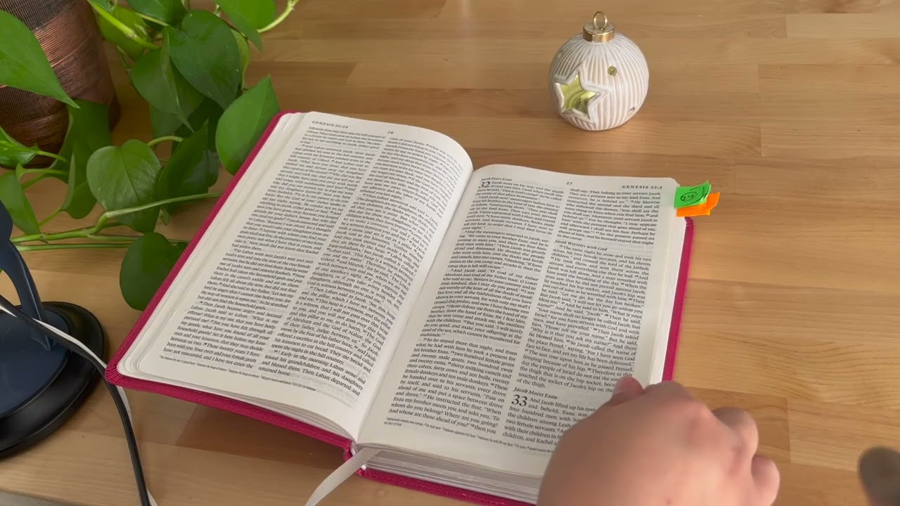 ASMR- Chronological Bible in a Year (Jan 23)