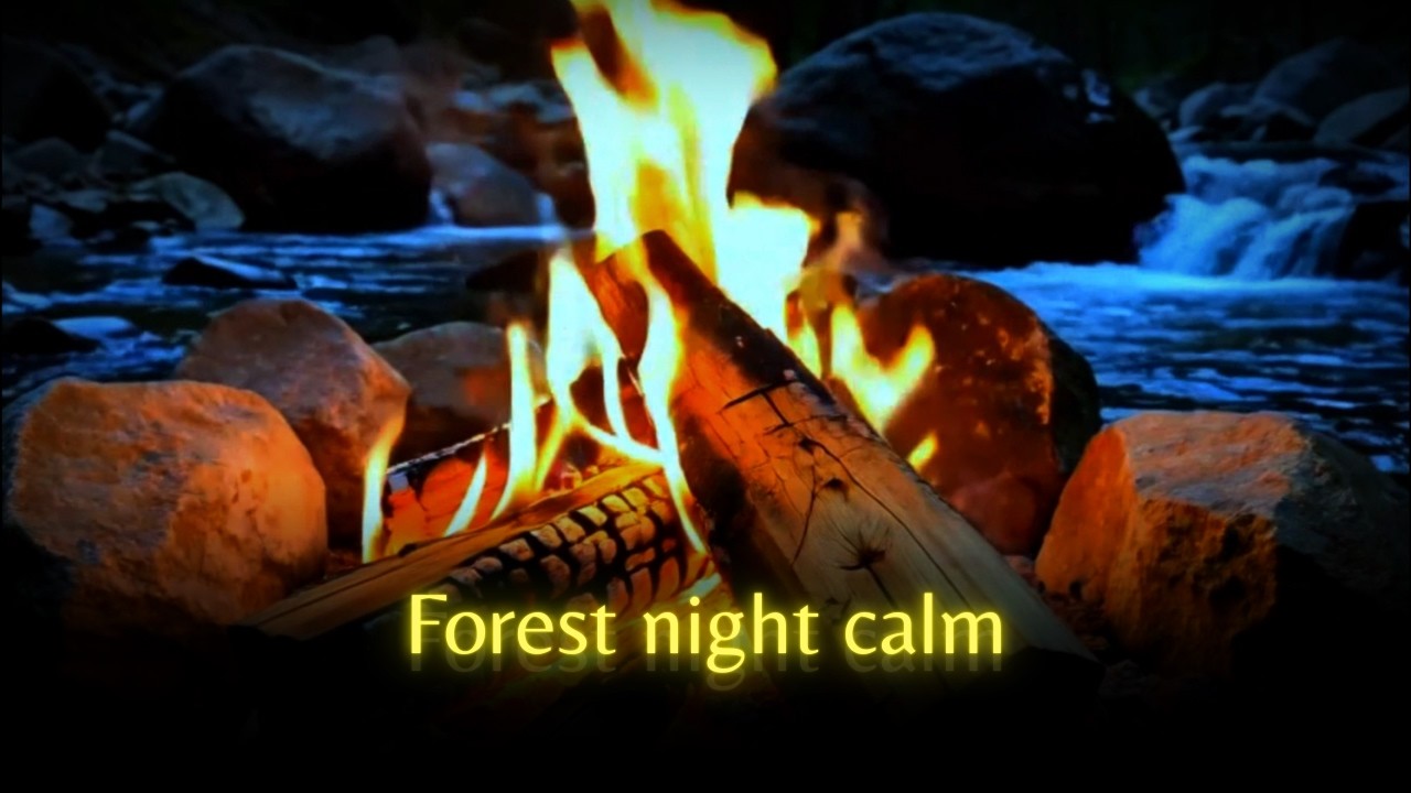 Campfire and Forest Stream Sound | 4 Hours of Night Ambience for Deep Sleep