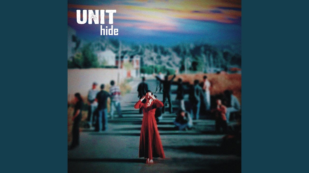 Hide