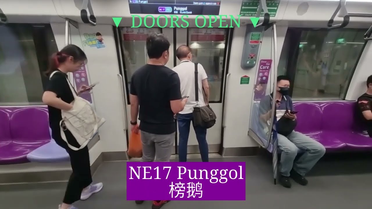 [Indulgence] SBS Transit Alstom Metropolis RC751A 7009/7010 Buangkok to Punggol (7)