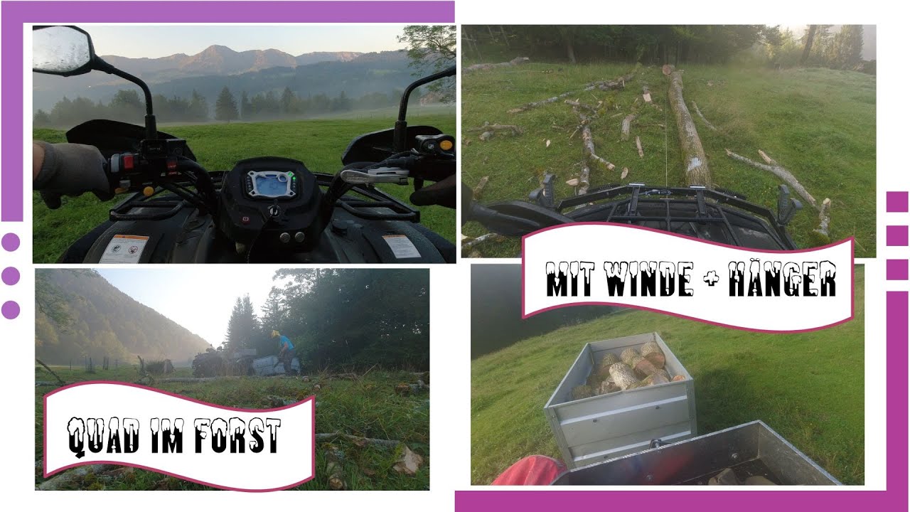 Forstarbeiten mit Quad TGB 550 FL +Seilwinde +Anhänger Holztransport