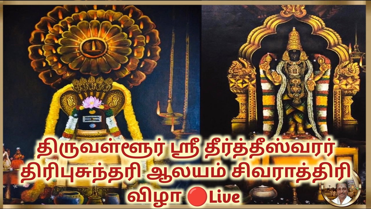 🔴 LIVE | சிவராத்திரி விழா திருவள்ளூர் ஸ்ரீ தீர்த்தீஸ்வரர் திரிபுசுந்தரி ஆலயம்  2026 Maha Shivaratri
