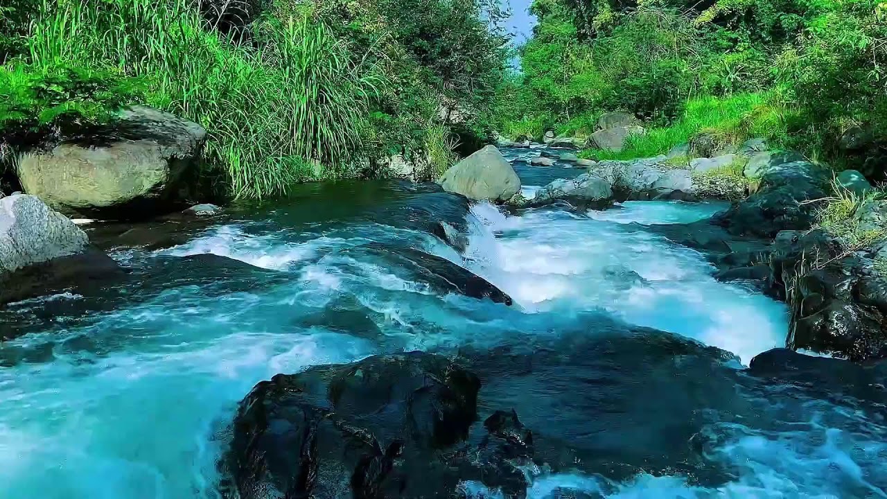 Forest River Water Flow Ambience, Mountain Stream, Sleep